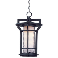 Oakville 1-Light Outdoor Hanging Lantern