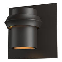 Twilight Small Dark Sky Outdoor Sconce
