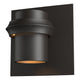 Twilight Small Dark Sky Outdoor Sconce