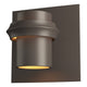 Twilight Small Dark Sky Outdoor Sconce