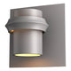Twilight Small Dark Sky Outdoor Sconce