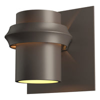 Twilight Dark Sky Outdoor Sconce