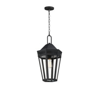 Oxford Outdoor 1-Light Pendant