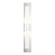 Double Axis LED Outdoor Sconce