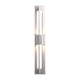 Double Axis LED Outdoor Sconce