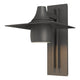Hood Large Dark Sky Outdoor Sconce