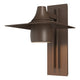 Hood Large Dark Sky Outdoor Sconce