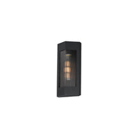 Triform 14" 1-Light Outdoor Wall Sconce