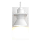 Erlenmeyer Dark Sky Outdoor Sconce
