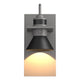 Erlenmeyer Dark Sky Outdoor Sconce