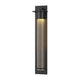Airis Large Dark Sky Outdoor Sconce