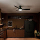 Ample 54" LED Ceiling Fan