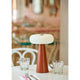 Ozzie LED Cordles Table Lamp