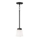 Baxley 1-Light Pendant