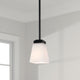 Baxley 1-Light Pendant