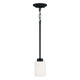 Dixon 1-Light Pendant
