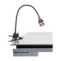 Prospect LED Clip Lamp