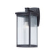 Terrace 1-Light Large Outdoor Wall Lantern