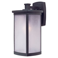 Terrace 1-Light Large Outdoor Wall Lantern