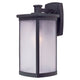 Terrace 1-Light Large Outdoor Wall Lantern