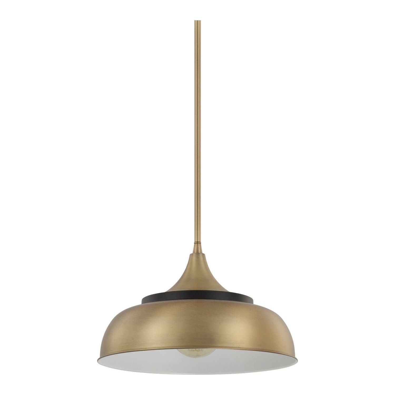 Max 1-Light Pendant