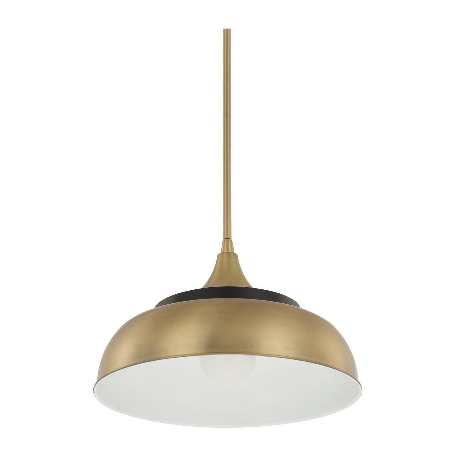 Max 1-Light Pendant