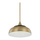 Max 1-Light Pendant
