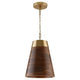 Dodd 1-Light Pendant