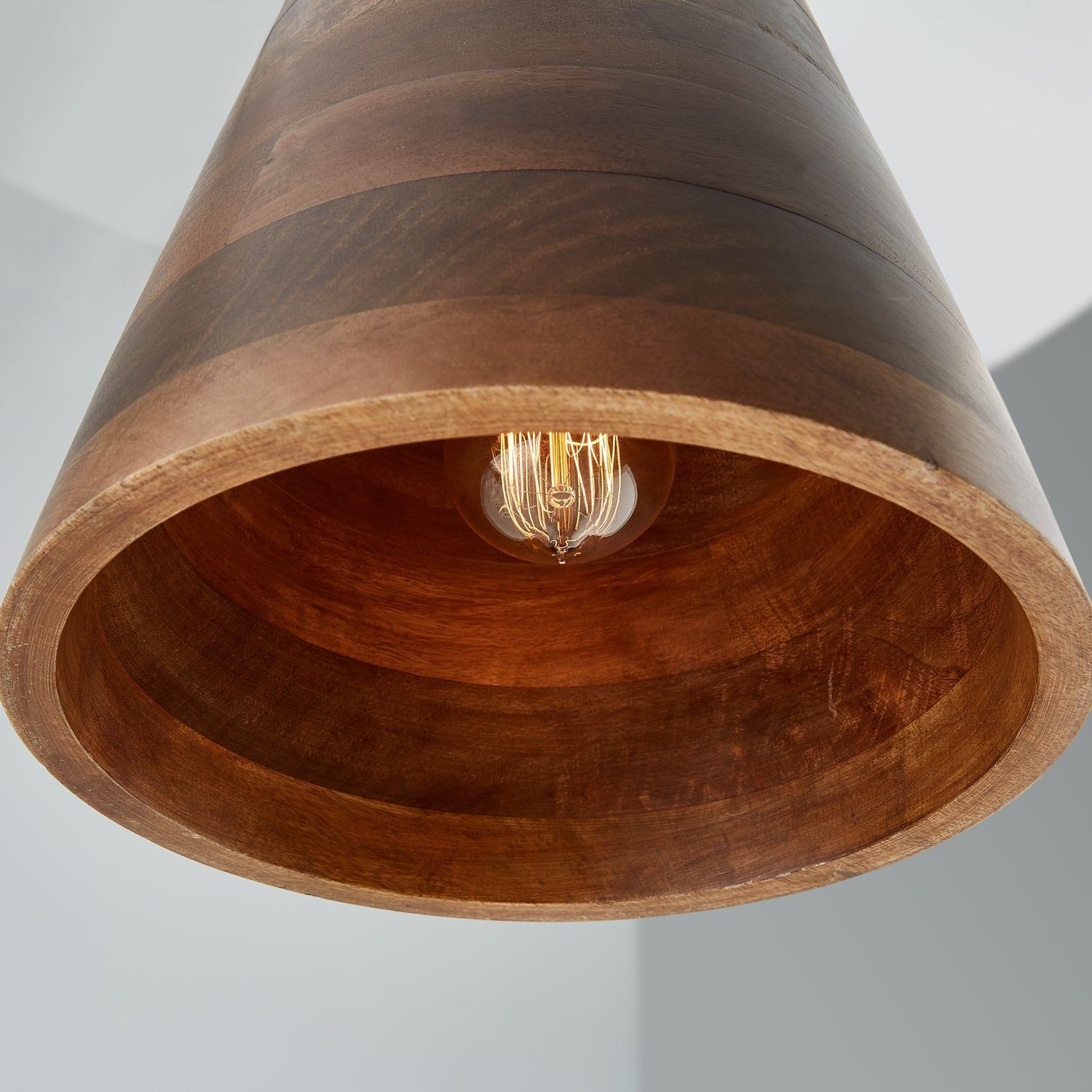 Dodd 1-Light Pendant