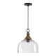 Julian 1-Light Pendant