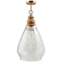 Juniper 1-Light Pendant