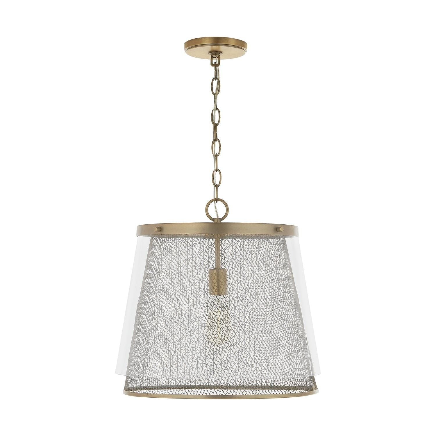 Abbott 1-Light Pendant