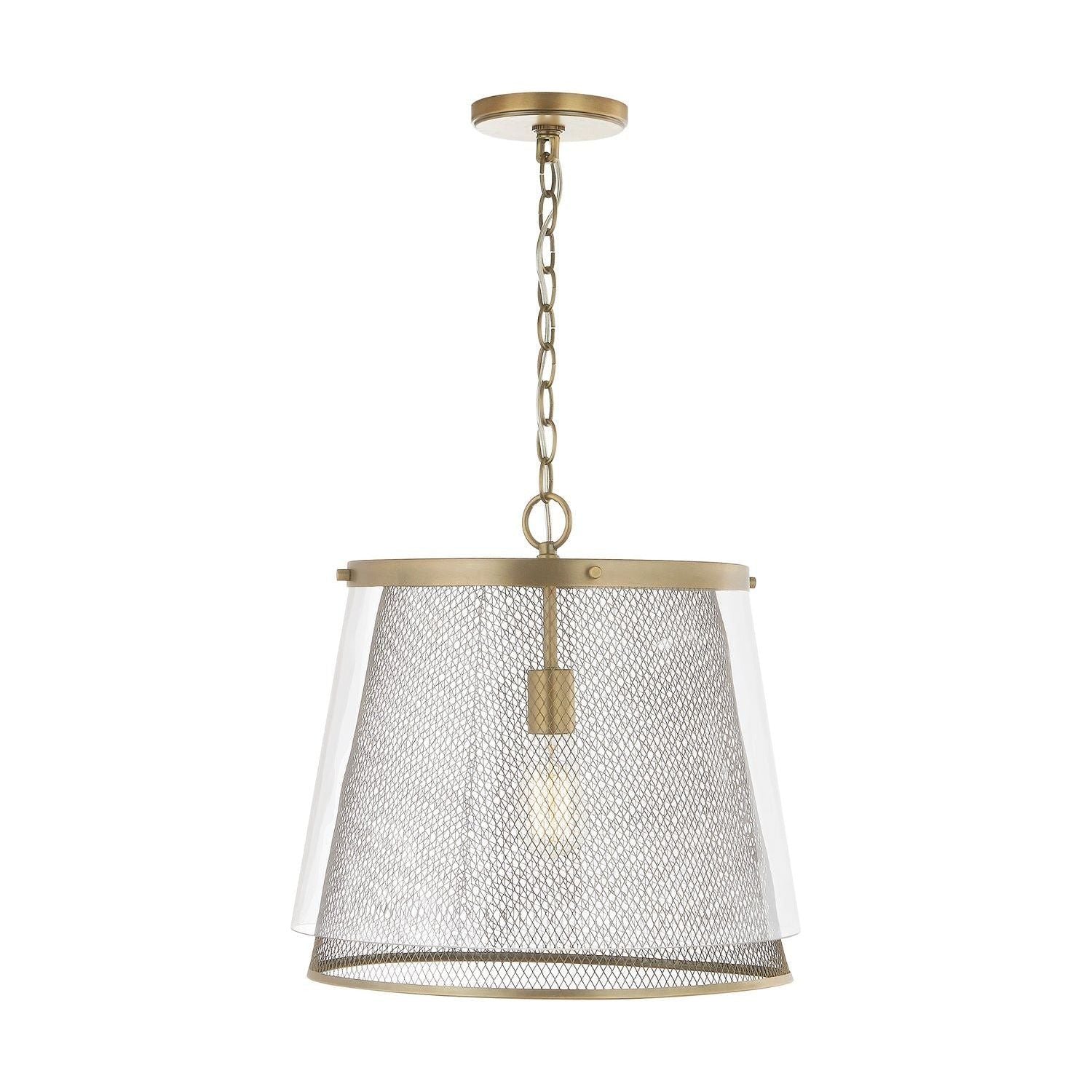 Abbott 1-Light Pendant