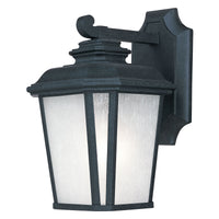 Radcliffe 1-Light Small Outdoor Wall