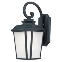 Radcliffe 1-Light Large Outdoor Wall