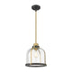 Burren 1-Light Pendant