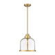 Burren 1-Light Pendant