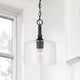 Carter 1-Light Pendant