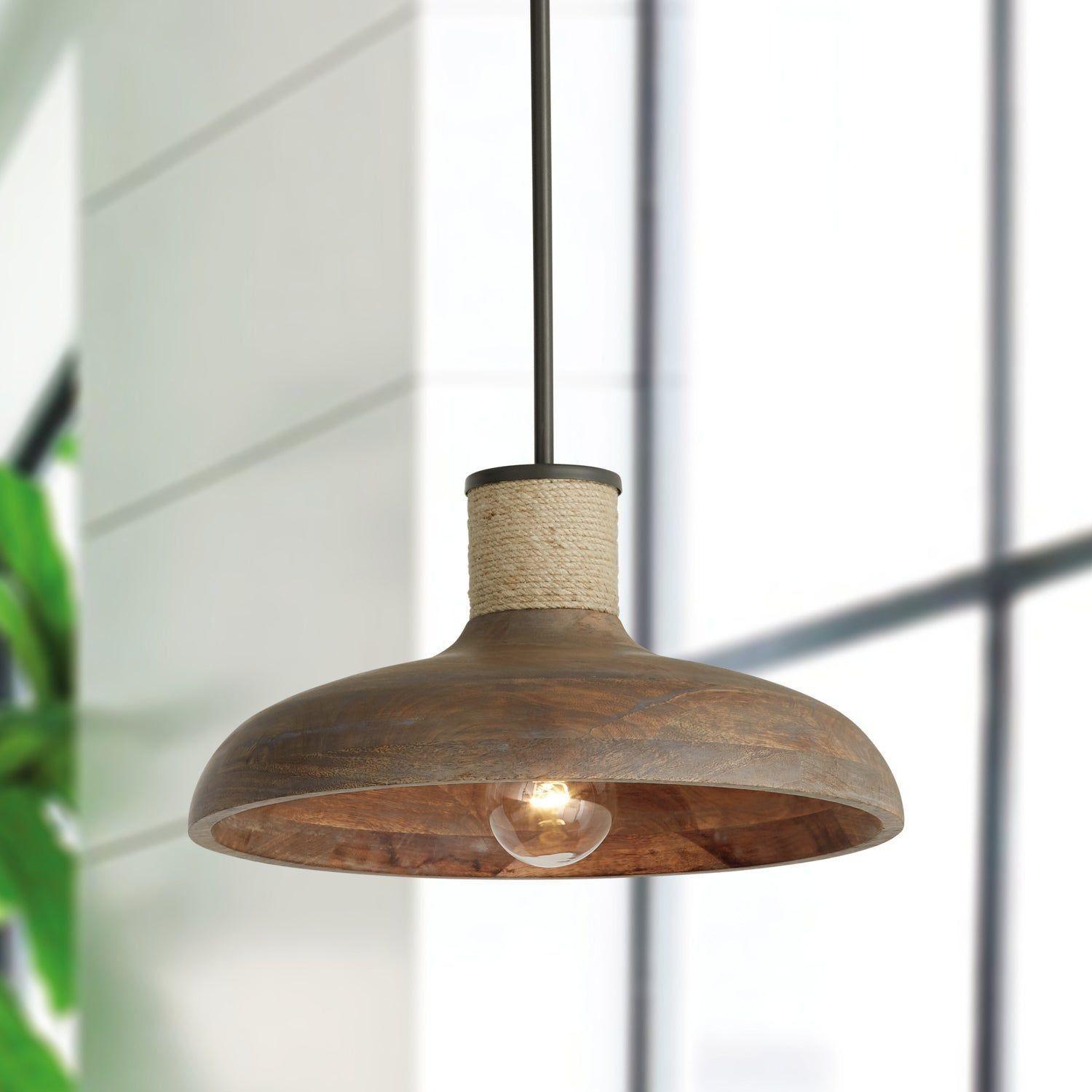 Jacob 1-Light Pendant