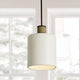 Destin 1-Light Pendant