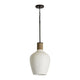 Destin 1-Light Pendant