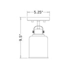 Z-Lite - Kinsley 1-Light Flush Mount - Lights Canada