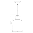 Z-Lite - Kinsley 1-Light Pendant - Lights Canada