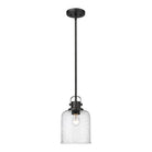 Z-Lite - Kinsley 1-Light Pendant - Lights Canada