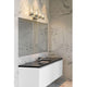 Z-Lite - Archer 4-Light Vanity Light - Lights Canada