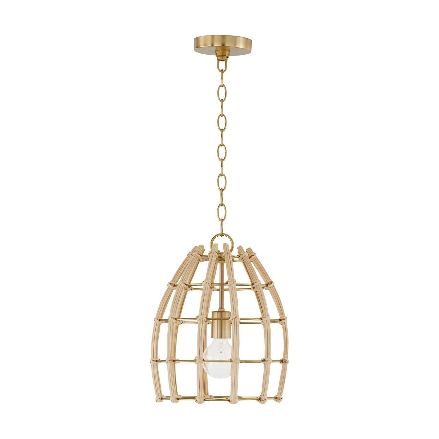 Wren 1-Light Pendant