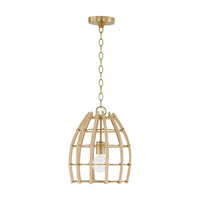 Wren 1-Light Pendant