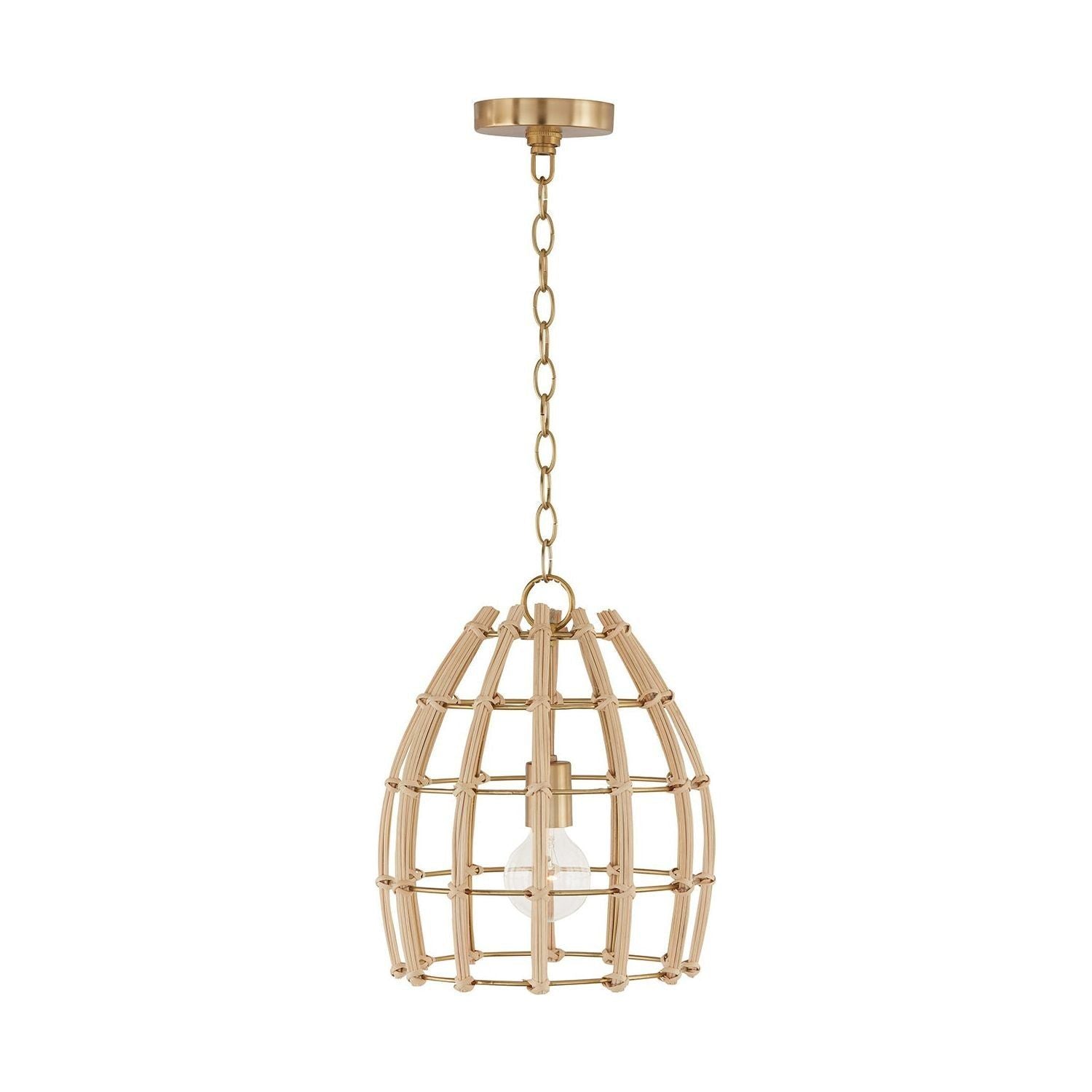 Wren 1-Light Pendant