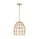 Wren 1-Light Pendant