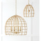 Wren 1-Light Pendant